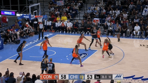 StephNoh giphyupload GIF