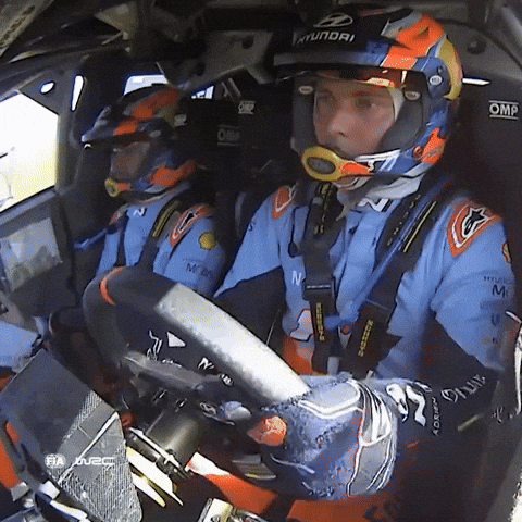 Driving GIF by FIA World Rally Championship