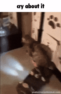 Cry About It GIF