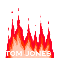 fiesta tom Sticker by tomjones bar