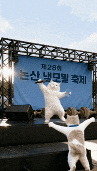 틴더스 GIF