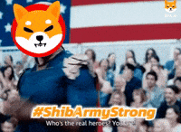 Shiba GIF by SHIB MEMES