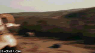 wanderer GIF