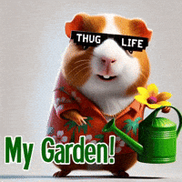 Happy Pride GIF by Guinea Gambino