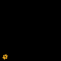 Vino Bebida GIF by schwadererwines