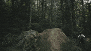 NOBLWheels mtb mountainbike mtblife jump noblwheels superman supercan GIF