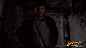 Looking Harrison Ford GIF by Indiana Jones