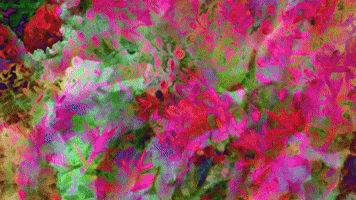 Emergencia Verde (2017)