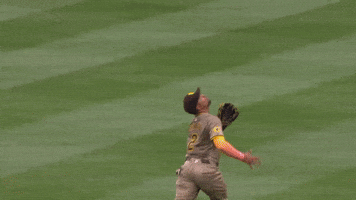 San Diego Padres Wow GIF by MLB