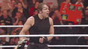 the shield wrestling GIF by WWE