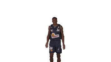Sport Go Sticker by HAKRO Merlins Crailsheim