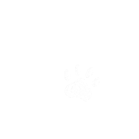 Cat Dog Sticker by eulenschnitt