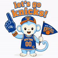 New York Knicks Basketball GIF by Respective