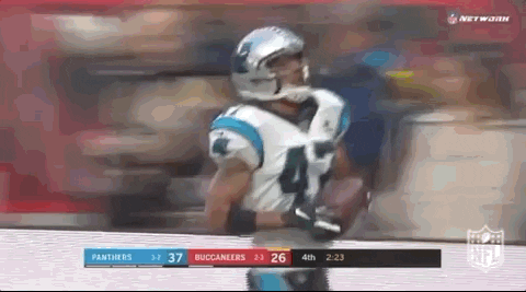 Carolina Panthers Football GIF by NFL