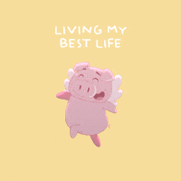 Happy Flying Pig GIF by PositivelyPigasus