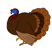 angry turkey Sticker by Megan