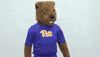 confused college sports GIF by Pitt Panthers