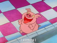 heyarnold nicksplat hey arnold GIF
