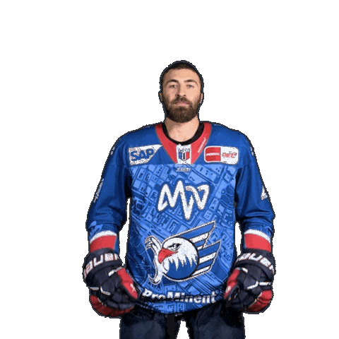 Sticker by Adler Mannheim