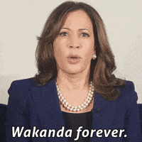Kamala Harris Black History Month GIF by slicedbread