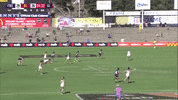 afl womens foreverfreo GIF by Fremantle Dockers