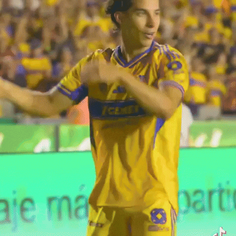 Liga Mx Tigres GIF