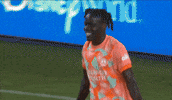 Goalcelebration GIF by National Women's Soccer League