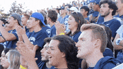 NevadaWolfPack football nevada wolf pack unr GIF