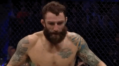 ufc 232 sport GIF by UFC
