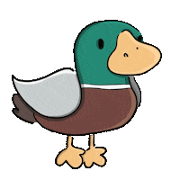 luise-glss duck duckface dancingduck leanderundderandere Sticker