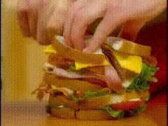 giphy.webp