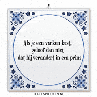 Humor Nl GIF by Tegelspreuken.nl