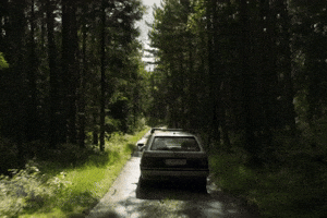 Driving Through Woods