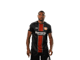 bundesliga no Sticker by Bayer 04 Leverkusen