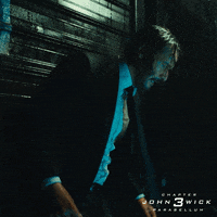 GIF by John Wick: Chapter 3 - Parabellum