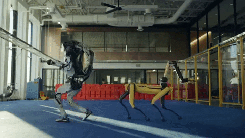 actionkeks giphygifmaker GIF