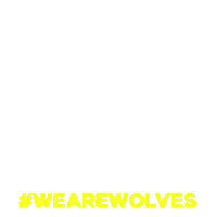 Swipe Up Sunburn Festival Sticker by CELL Recordings