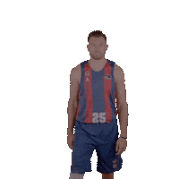 Celebrating Liga Endesa Sticker by ACB