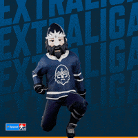 Hockey Hokej GIF by Tipsport extraliga