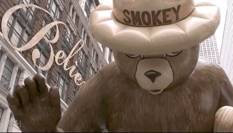 Macys Parade Happy Thanksgiving GIF by The 96th Macy’s Thanksgiving Day Parade