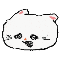 Cat Omg Sticker