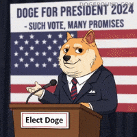 Abigail Spanberger Usa GIF by Doge Pound