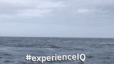 IcebergQuest giphygifmaker experienceiq icebergquest explorenl newfoundland boattours GIF