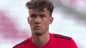 Sl Benfica Slbgif GIF by Sport Lisboa e Benfica