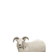 happy look Sticker by EliskaP