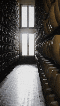 Cheese Made In Italy GIF by Parmigiano Reggiano