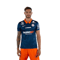 Pedro Mendes Sticker by MHSC