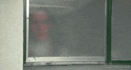Interested Peeping Tom GIF