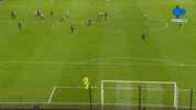 Ligainggris Westhamunited GIF by MolaTV