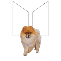 Mmpg Sticker by MPGROUPLTD